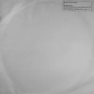 The second annual report